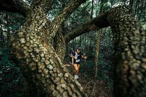 BIB: 
                            <button type="button" onclick="openModal(25394237)" class="btn btn-primary btn-sm float-right btn-popup" data-toggle="modal" data-target=".modal-high-quality">
                        <i class="fas fa-shopping-cart"></i> Add to Cart
                    </button>
                                            <button type="button" onclick="isThisMe(25394237, true)" class="btn btn-success btn-sm float-right btn-popup btn-isme hidden" data-toggle="tooltip" data-placement="bottom" title="นี่คือรูปของคุณใช่ไหม คลิกที่นี่เพื่อเอาเข้าอัลบั้ม">
                        <i class="fas fa-plus"></i> Add to album
                    </button>
                    <button type="button" onclick="isThisMe(25394237, false)" class="btn btn-warning btn-sm float-right btn-popup btn-isnotme hidden">
                        <i class="fas fa-ban"></i> Remove from album
                    </button>